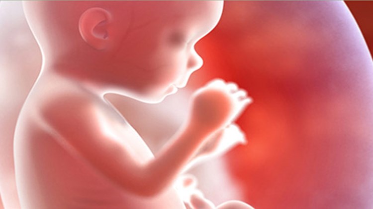 Τα εμβόλια κατά του COVID-19 δεν βλάπτουν τον πλακούντα, σύμφωνα με νέα μελέτη